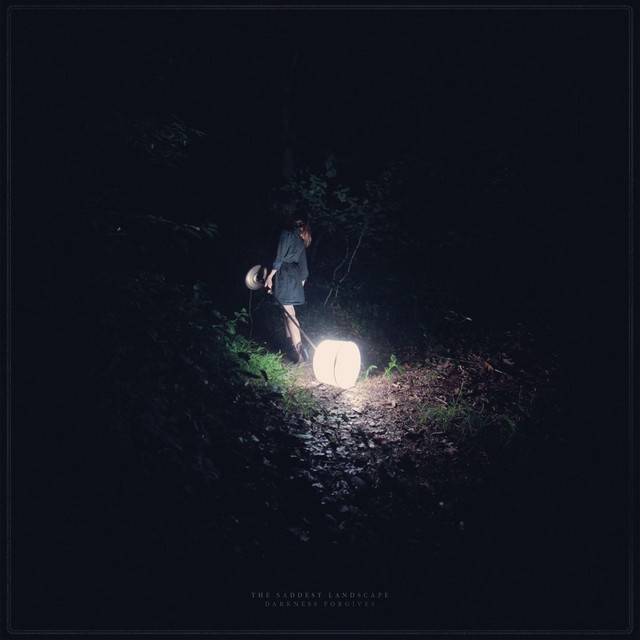 Darkness Forgives album cover