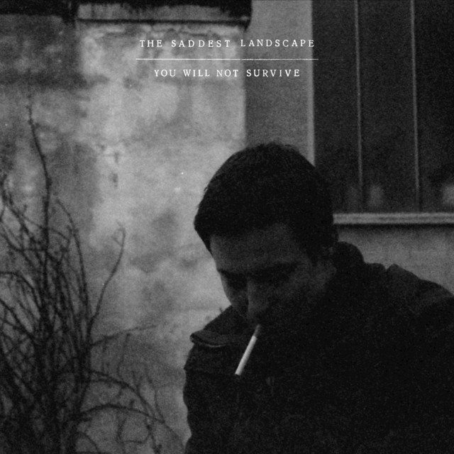 You Will Not Survive album cover