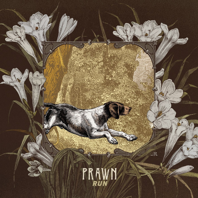 Run album cover