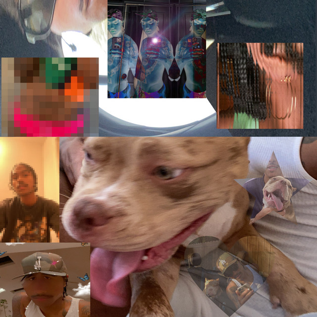 The Lo-Fis album cover
