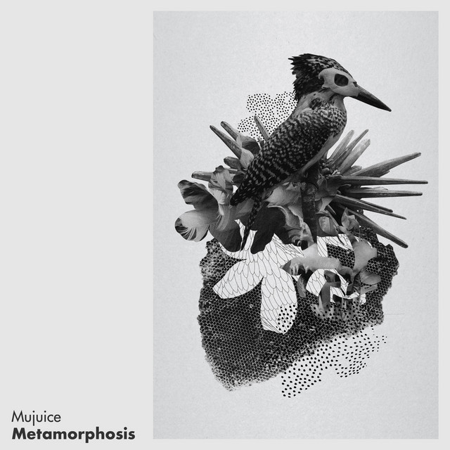 Metamorphosis album cover