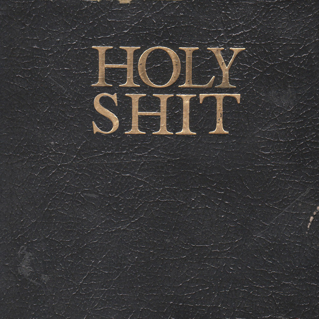 Holy Shit album cover