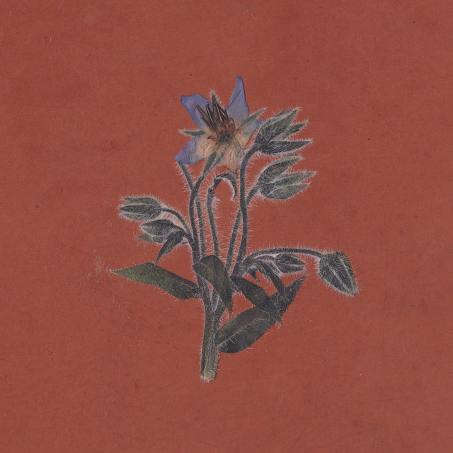 De la friche album cover