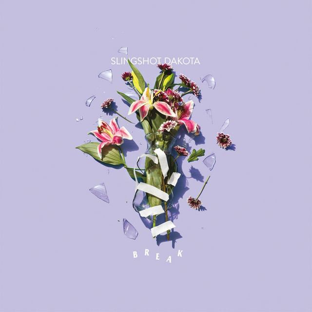 Break album cover