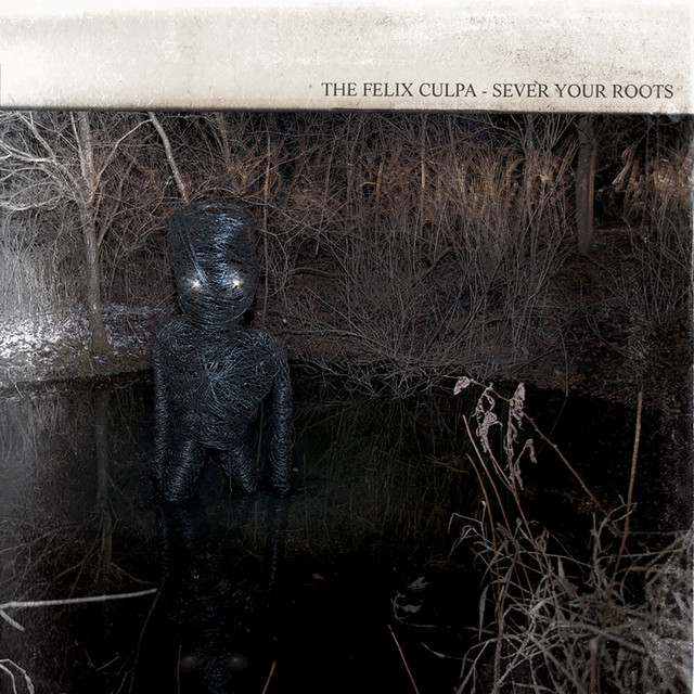 Sever Your Roots/Bury The Axe album cover