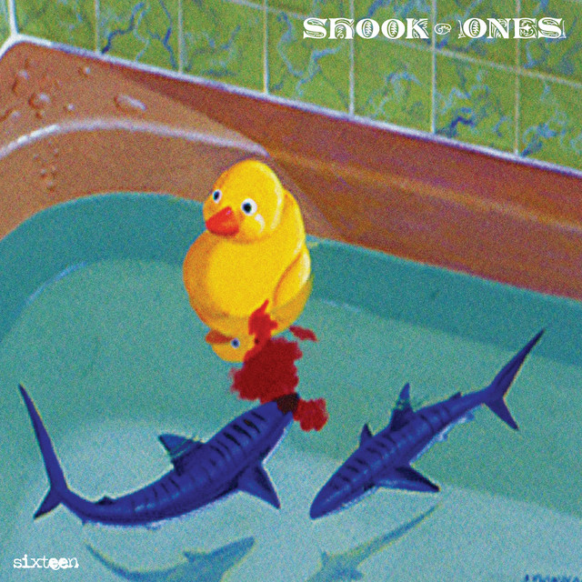 Sixteen album cover