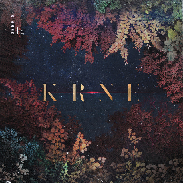 Debris album cover