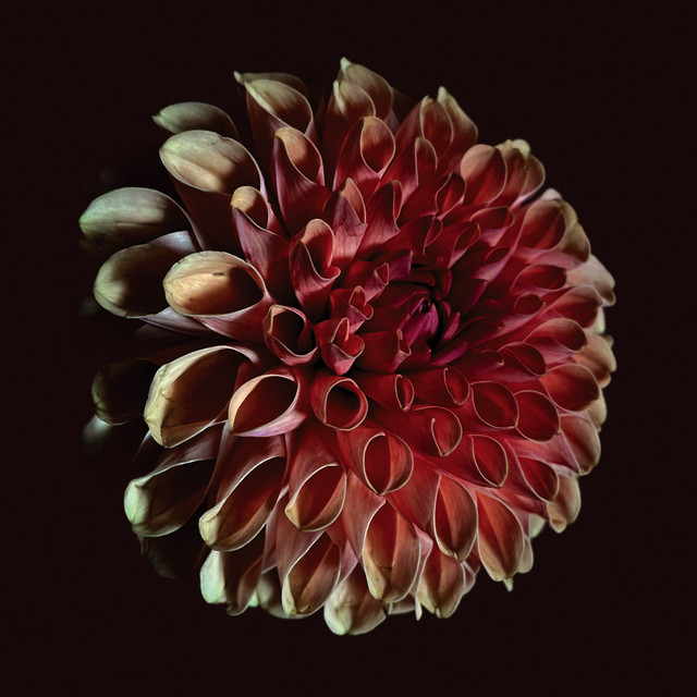 Unfolding album cover