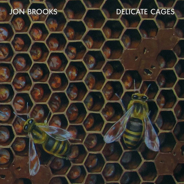 Delicate Cages album cover