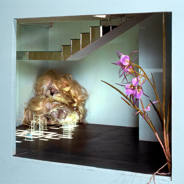 Sunbathing Through A Glass Screen album cover