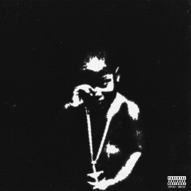Lil Boat 3.5 album cover