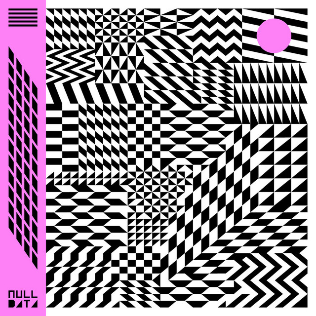 Null Data album cover