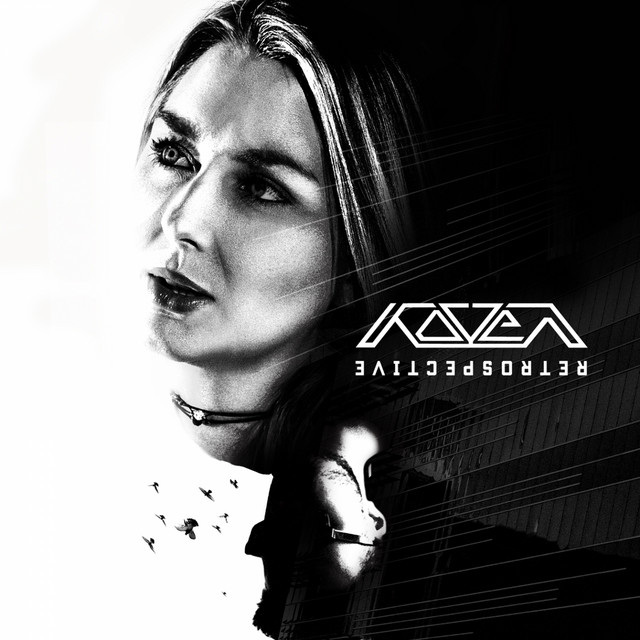 Retrospective album cover