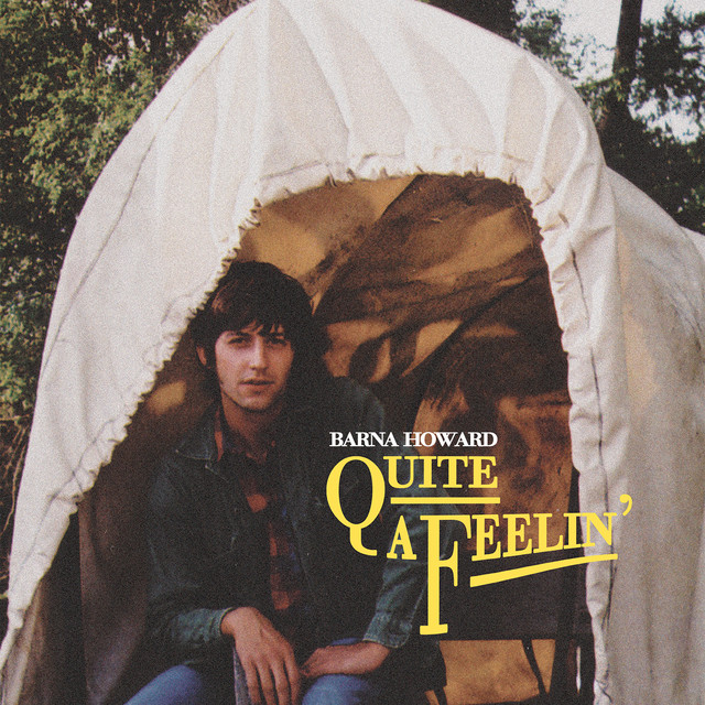 Martin D-28 as heard on Quite a Feelin' by Barna Howard (2015)