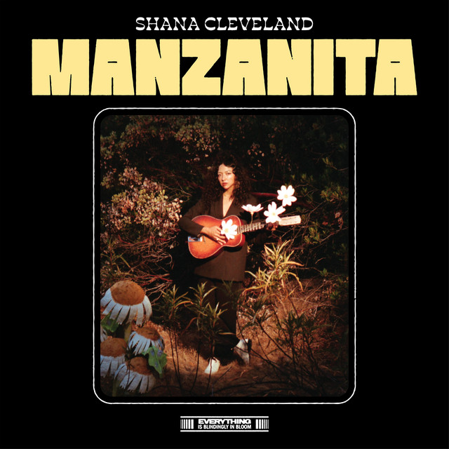 Manzanita album cover