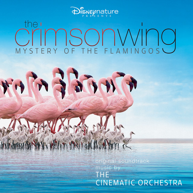 The Crimson Wing: Mystery of the Flamingos (Original Soundtrack) album cover