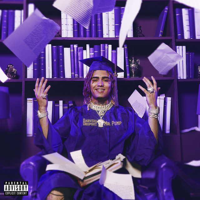 Harverd Dropout album cover