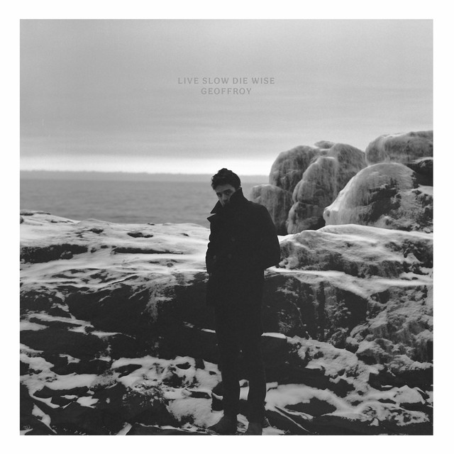 Live Slow Die Wise album cover