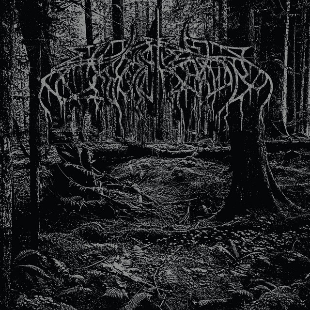 2005 Demo album cover