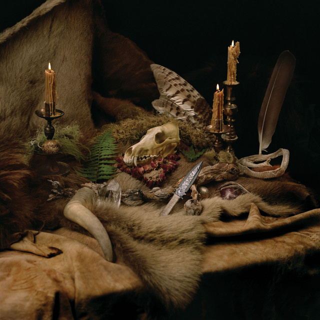 Suhr Riot as heard on Primordial Arcana by Wolves in the Throne Room (2021)