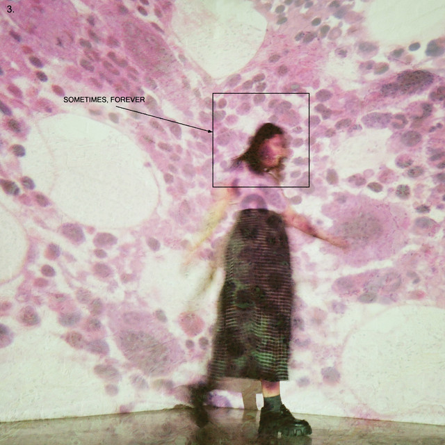 Gibson LG-2 as heard on Sometimes, Forever by Soccer Mommy (2022)