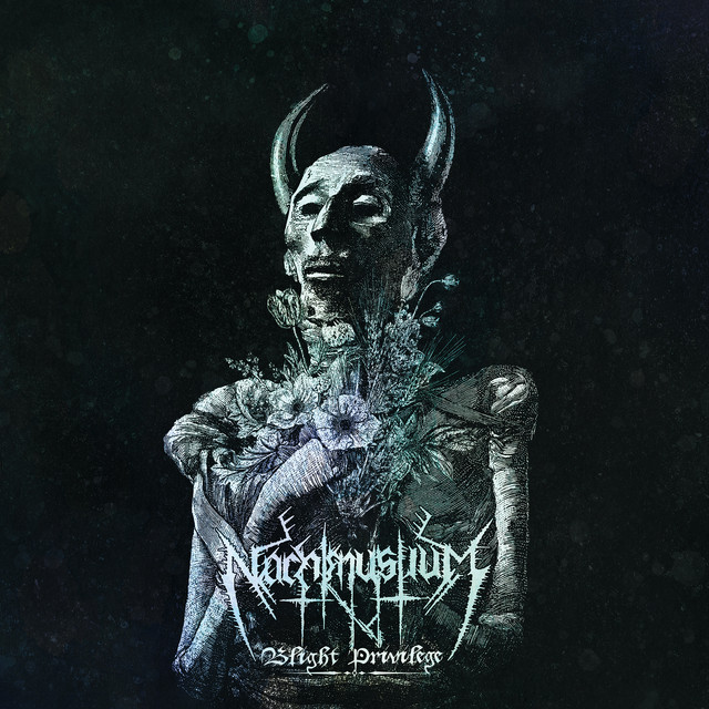 Blight Privilege album cover