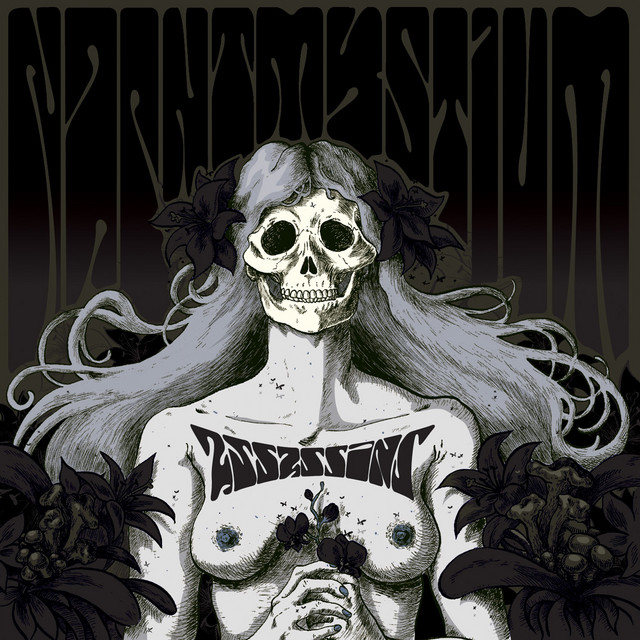 Sunn Model T Reissue as heard on Assassins: Black Meddle, Pt. I by Nachtmystium (2008)