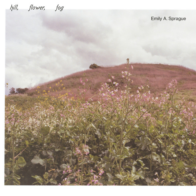 Hill, Flower, Fog album cover