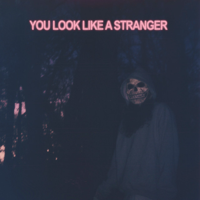 You Look Like a Stranger album cover
