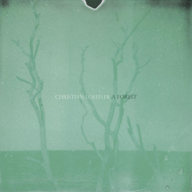 A Forest album cover