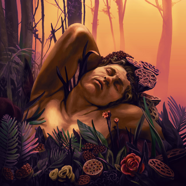 Dolos album cover