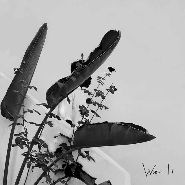 TC Helicon Switch-3 footswitch as heard on Worth It by Moses Sumney (2016)