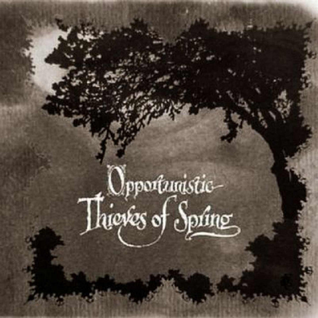 Opportunistic Thieves of Spring album cover