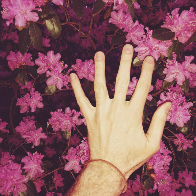 Therapy album cover