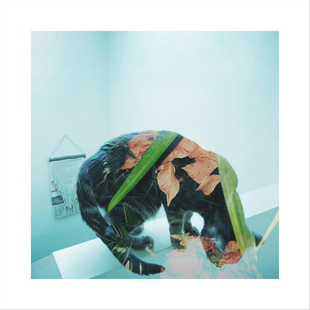 Island album cover