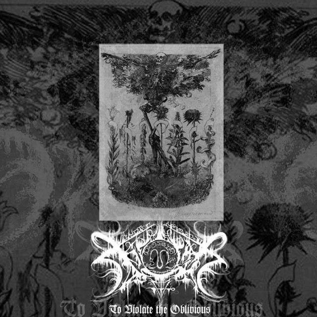 To Violate the Obvious album cover