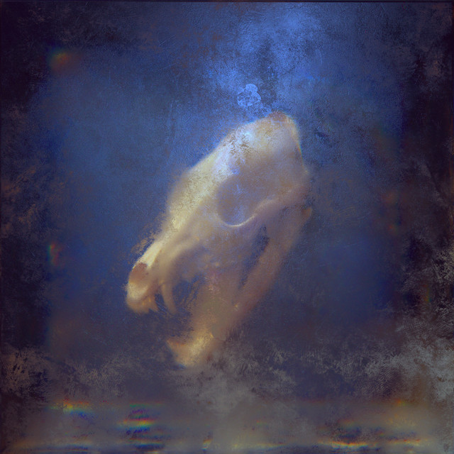 Unleashed album cover