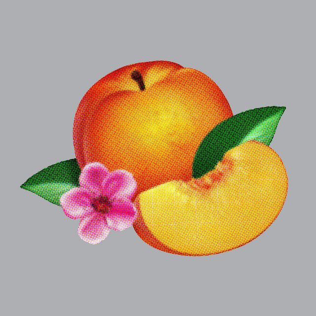 Bankrupt! album cover