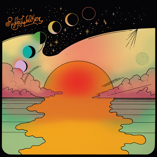 Guild d35 as heard on The Halfwit in Me by Ryley Walker (2016)