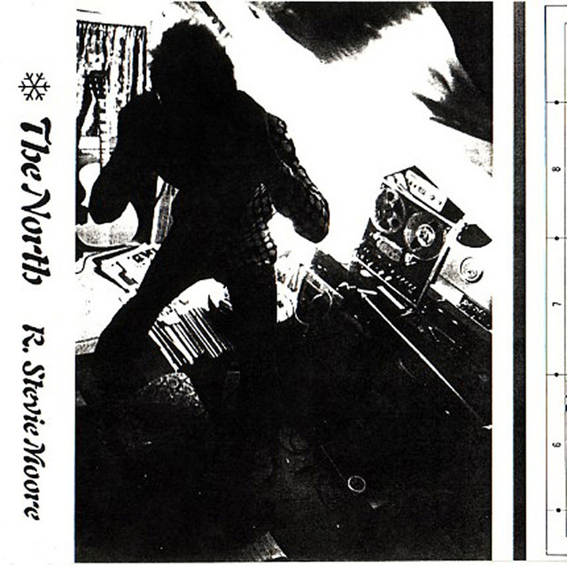 Electro-Harmonix Big Muff Pi as heard on The North by R. Stevie Moore (1978)
