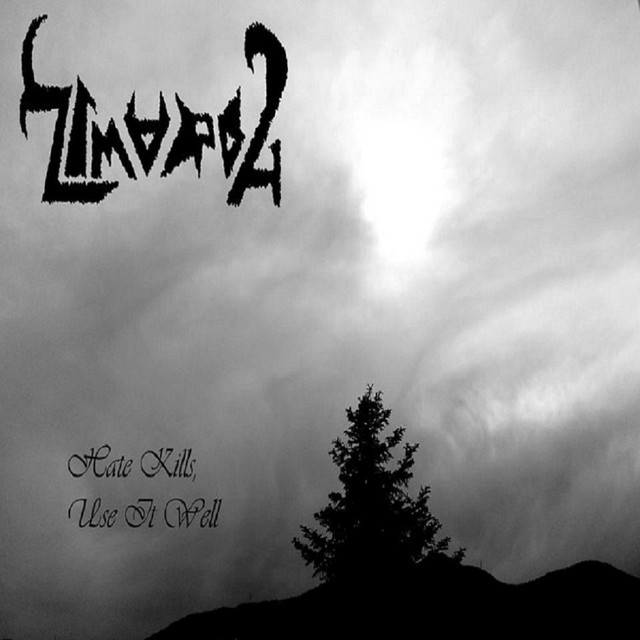 Hate Kills, Use It Well album cover