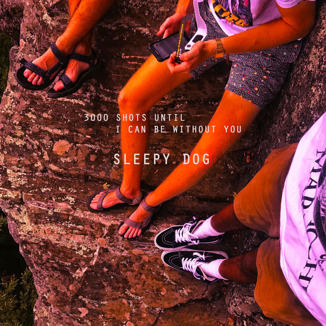 Gibson SG Standard as heard on 3000 Shots Until I Can Be Without You by Sleepy dog (2018)