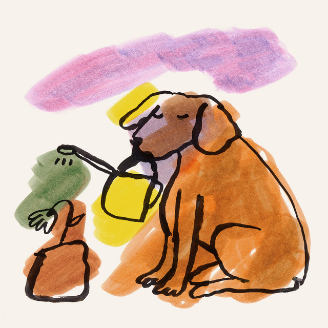 Man’s Best Friend album cover