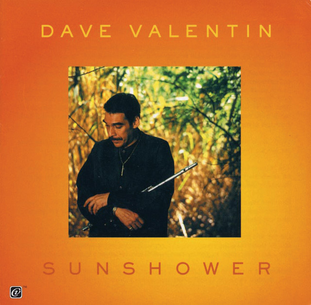 Sunshower album cover
