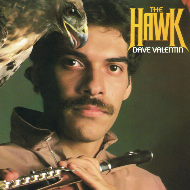 The Hawk album cover