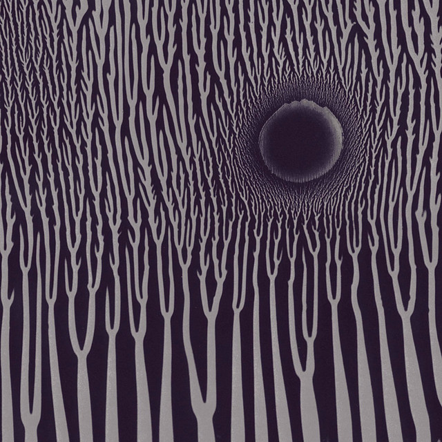 The Grimm Robe Demos album cover