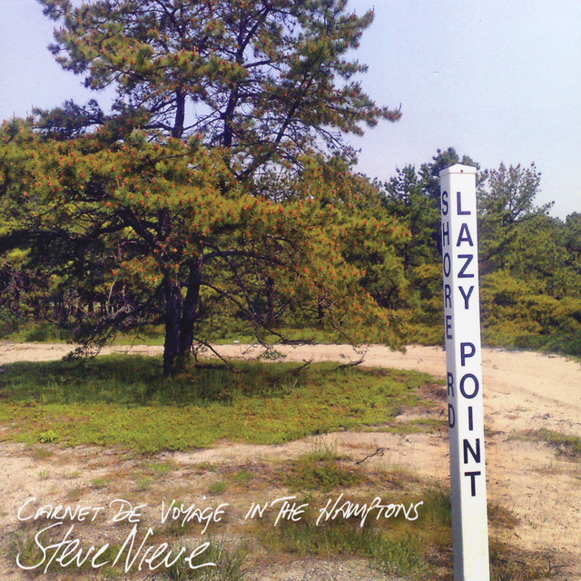 Lazy Point album cover