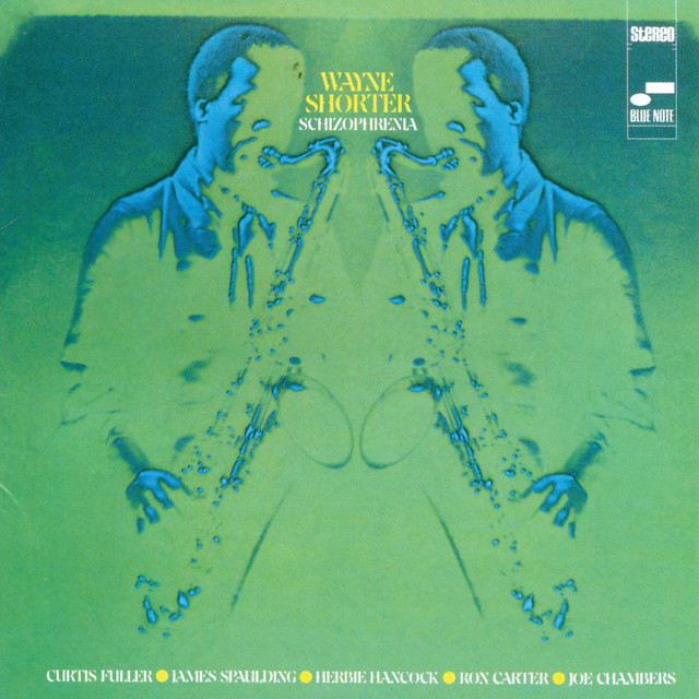 Schizophrenia album cover