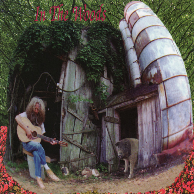 In The Woods album cover
