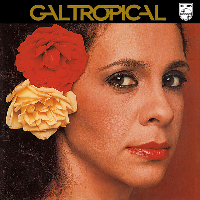 Gal Tropical album cover